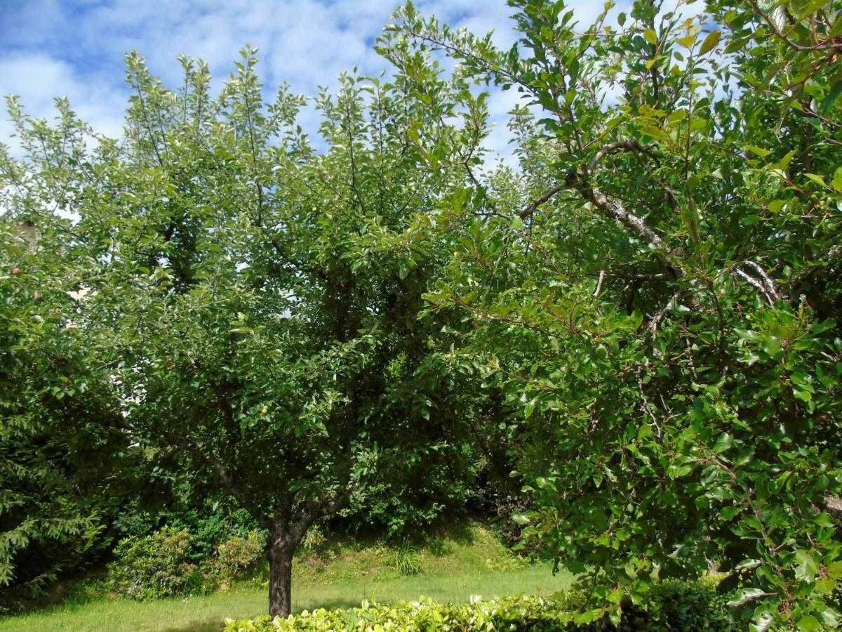 Maison L'Hirondelle Rustique A Tournavaux Εξωτερικό φωτογραφία
