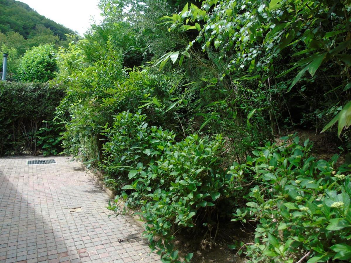 Maison L'Hirondelle Rustique A Tournavaux Εξωτερικό φωτογραφία