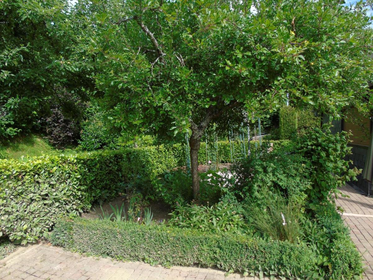 Maison L'Hirondelle Rustique A Tournavaux Εξωτερικό φωτογραφία