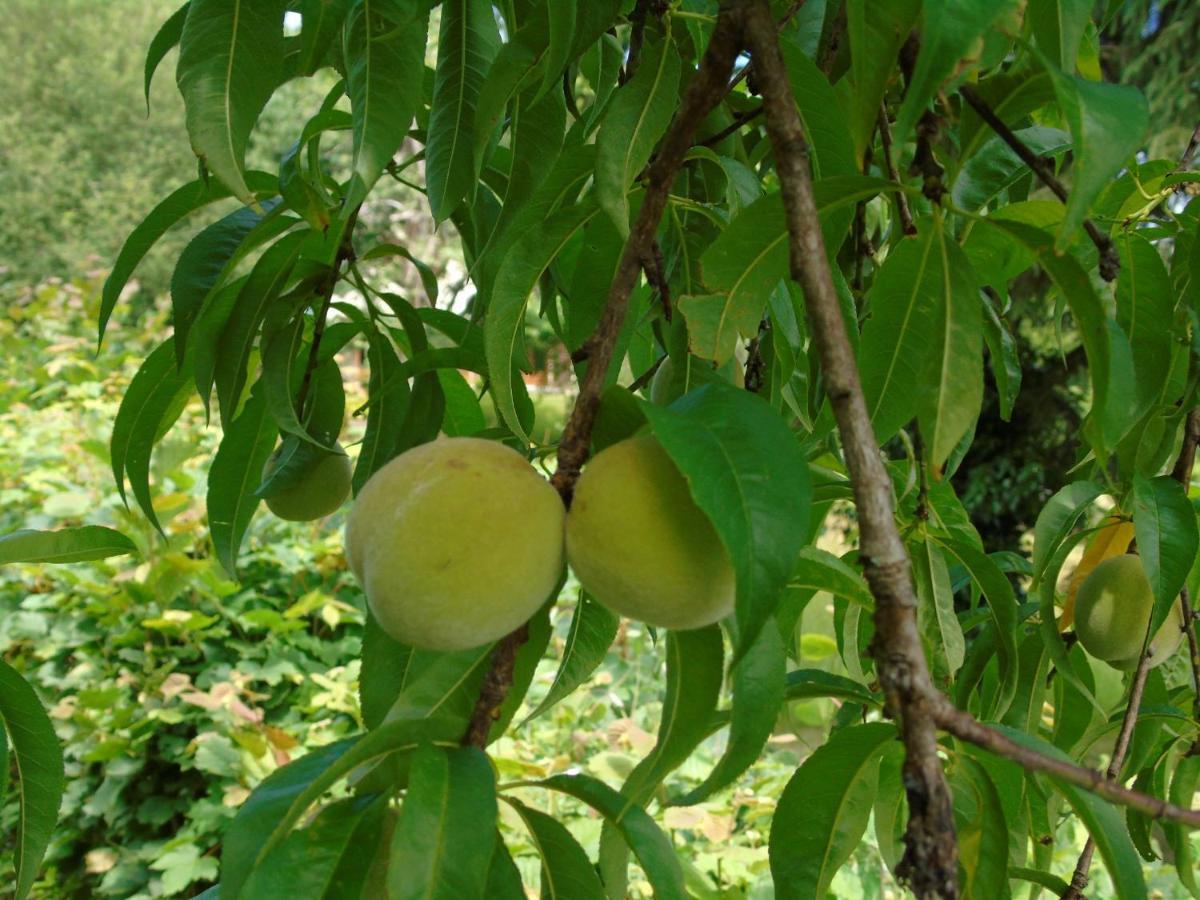 Maison L'Hirondelle Rustique A Tournavaux Εξωτερικό φωτογραφία